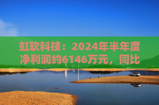 虹软科技：2024年半年度净利润约6146万元，同比增加22.82%