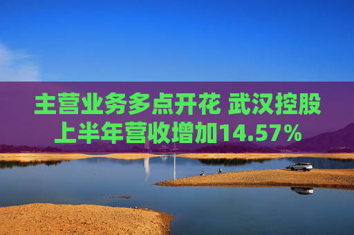 主营业务多点开花 武汉控股上半年营收增加14.57%