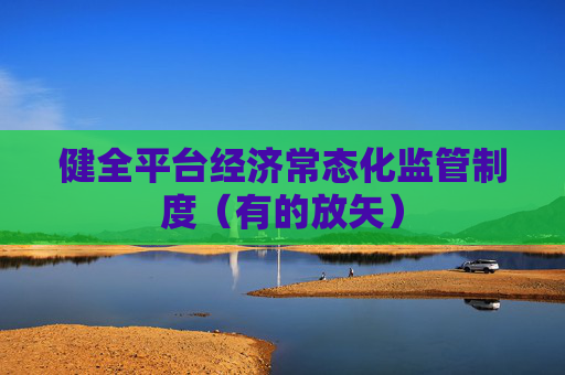 健全平台经济常态化监管制度（有的放矢）