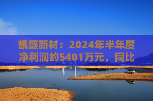 凯盛新材：2024年半年度净利润约5401万元，同比下降47.6%