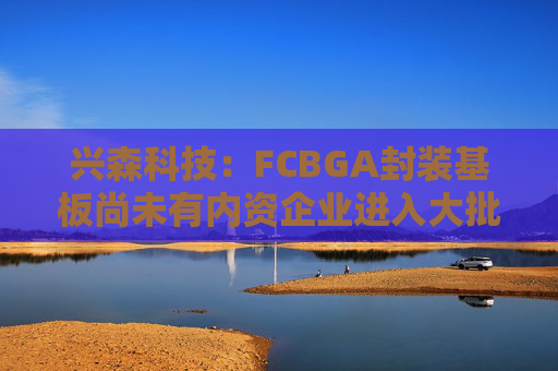 兴森科技：FCBGA封装基板尚未有内资企业进入大批量量产阶段