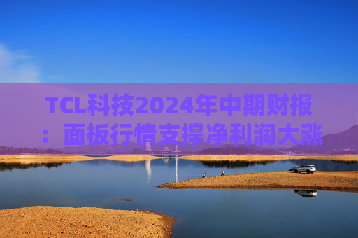 TCL科技2024年中期财报：面板行情支撑净利润大涨 光伏板块处于行业周期底部