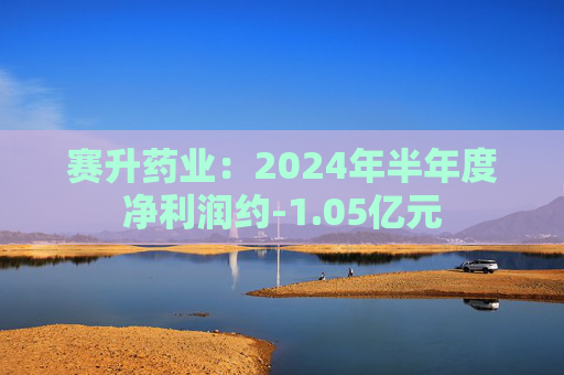 赛升药业：2024年半年度净利润约-1.05亿元