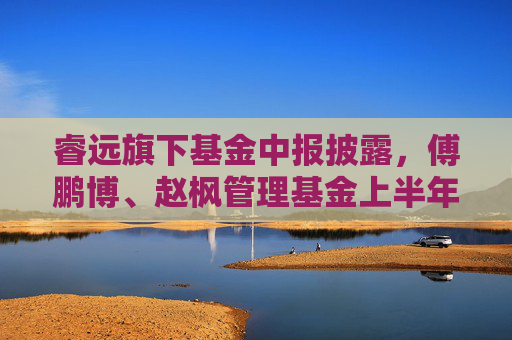 睿远旗下基金中报披露，傅鹏博、赵枫管理基金上半年纳入腾达科技等多只新股