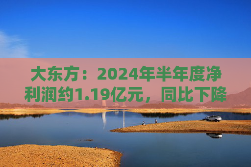 大东方：2024年半年度净利润约1.19亿元，同比下降14.38%