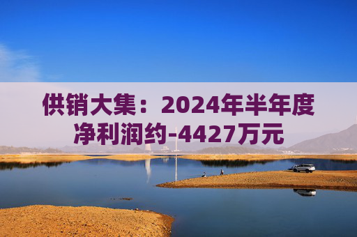 供销大集：2024年半年度净利润约-4427万元