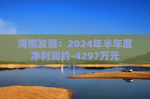 海南发展：2024年半年度净利润约-4297万元