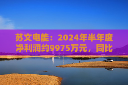 苏文电能：2024年半年度净利润约9975万元，同比下降27.86%