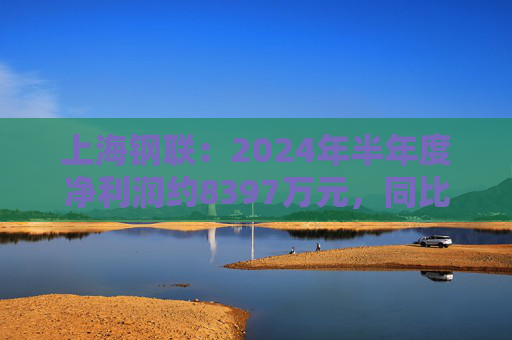 上海钢联：2024年半年度净利润约8397万元，同比下降29.41%