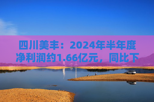 四川美丰：2024年半年度净利润约1.66亿元，同比下降34.08%