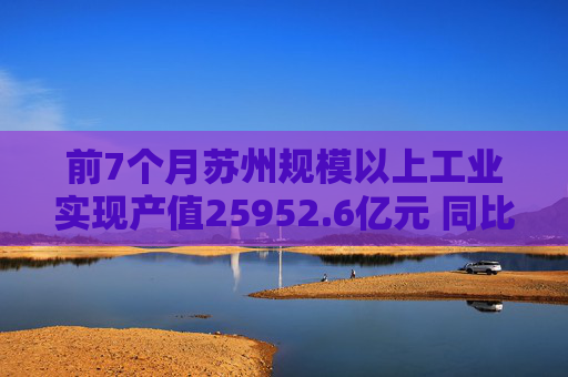 前7个月苏州规模以上工业实现产值25952.6亿元 同比增长5.6%