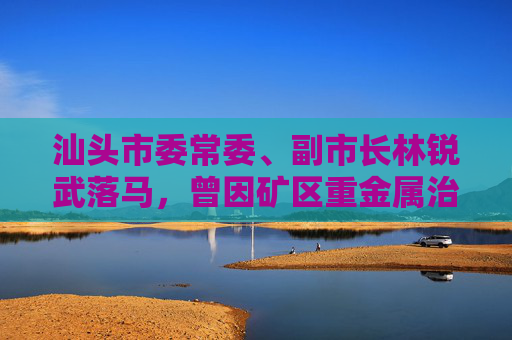 汕头市委常委、副市长林锐武落马，曾因矿区重金属治理不力被处分