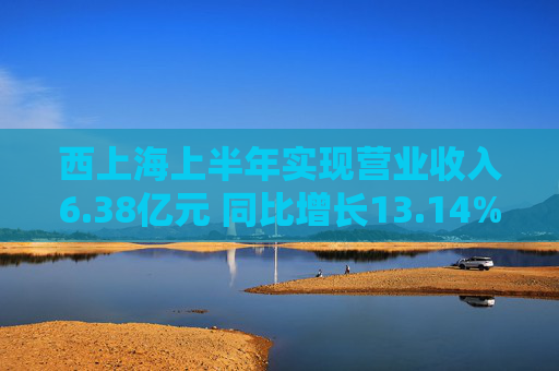 西上海上半年实现营业收入6.38亿元 同比增长13.14%