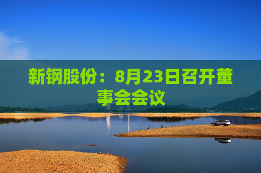 新钢股份：8月23日召开董事会会议