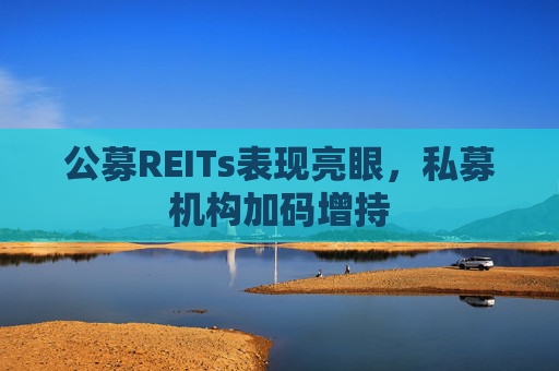 公募REITs表现亮眼，私募机构加码增持