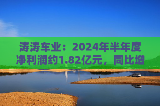 涛涛车业：2024年半年度净利润约1.82亿元，同比增加35.36%