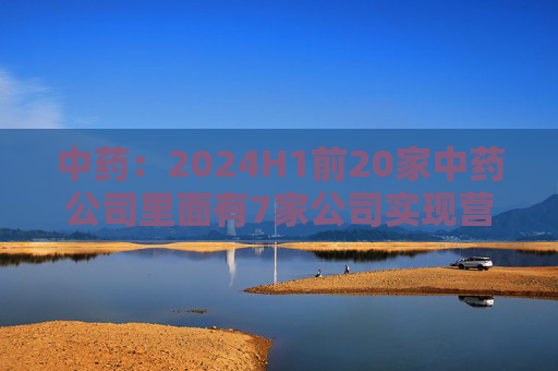 中药：2024H1前20家中药公司里面有7家公司实现营收增长，其他13家公司营收下降