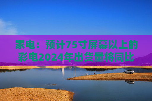 家电：预计75寸屏幕以上的彩电2024年出货量将同比增长30%