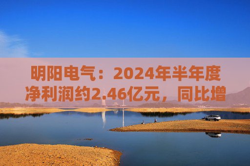 明阳电气：2024年半年度净利润约2.46亿元，同比增加52.36%