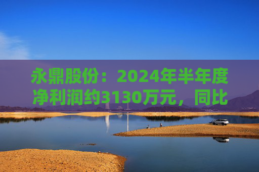 永鼎股份：2024年半年度净利润约3130万元，同比下降22.19%