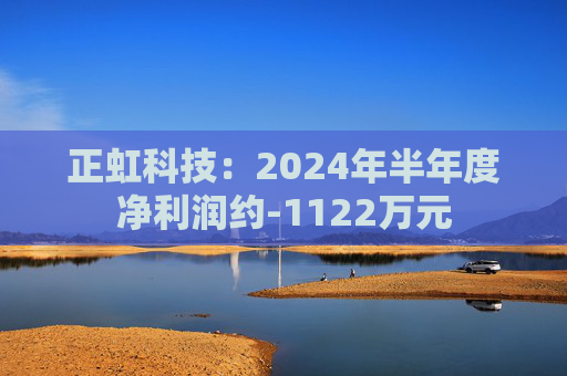 正虹科技：2024年半年度净利润约-1122万元