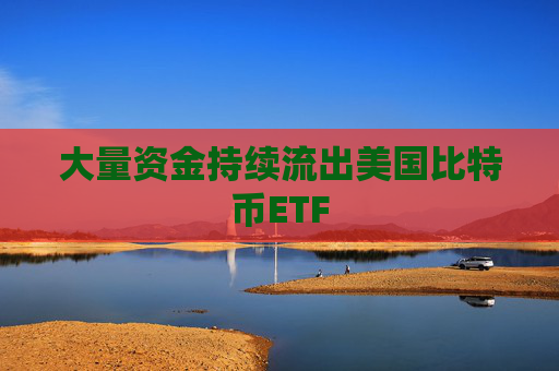 大量资金持续流出美国比特币ETF