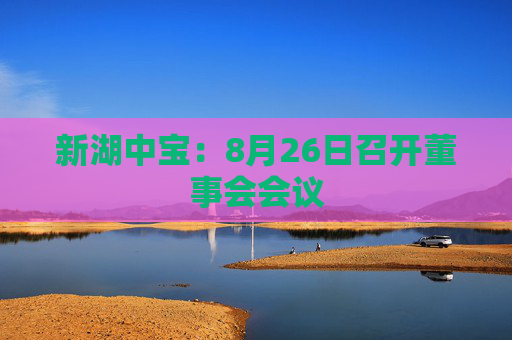 新湖中宝：8月26日召开董事会会议