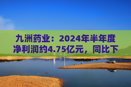 九洲药业：2024年半年度净利润约4.75亿元，同比下降23.62%