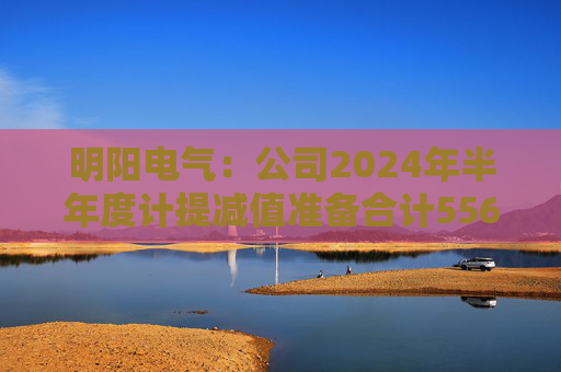 明阳电气：公司2024年半年度计提减值准备合计5561.69万元