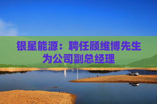 银星能源：聘任顾维博先生为公司副总经理