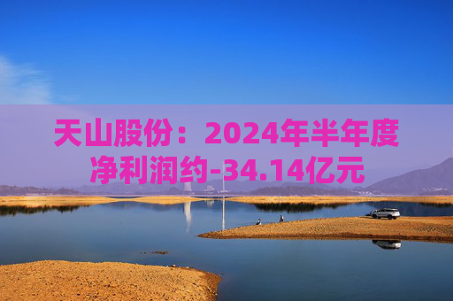 天山股份：2024年半年度净利润约-34.14亿元