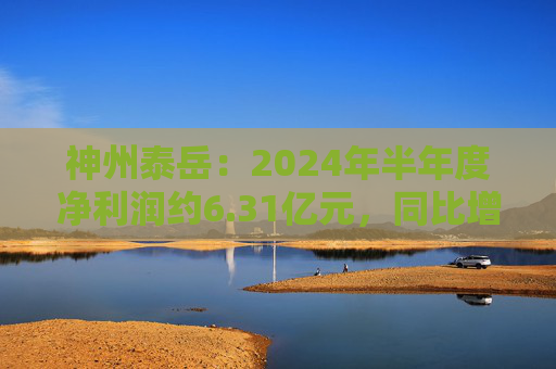 神州泰岳：2024年半年度净利润约6.31亿元，同比增加56.18%