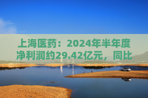 上海医药：2024年半年度净利润约29.42亿元，同比增加12.72%