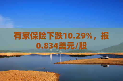 有家保险下跌10.29%，报0.834美元/股