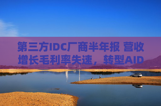 第三方IDC厂商半年报 营收增长毛利率失速，转型AIDC跑马圈地