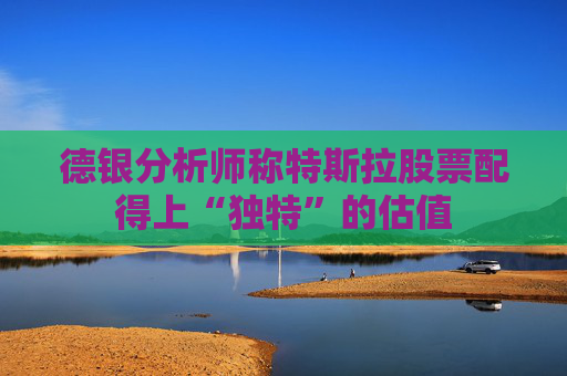 德银分析师称特斯拉股票配得上“独特”的估值