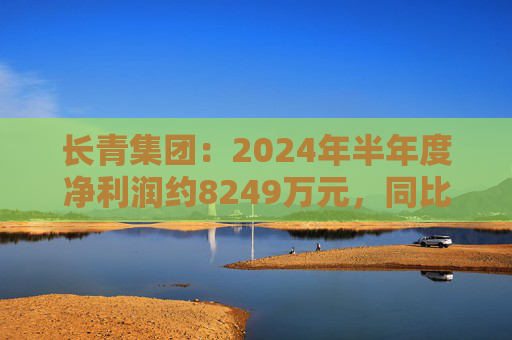 长青集团：2024年半年度净利润约8249万元，同比增加7.45%