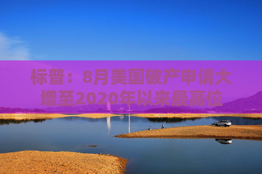 标普：8月美国破产申请大增至2020年以来最高位