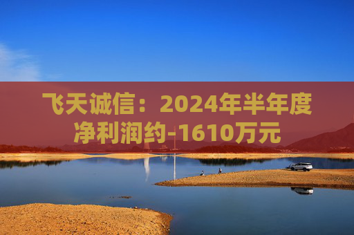 飞天诚信：2024年半年度净利润约-1610万元