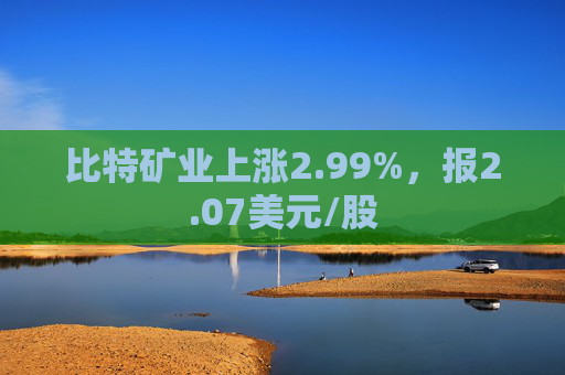 比特矿业上涨2.99%，报2.07美元/股