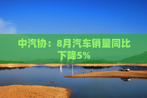 中汽协：8月汽车销量同比下降5%