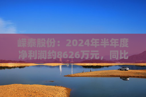 嵘泰股份：2024年半年度净利润约8626万元，同比增加18%