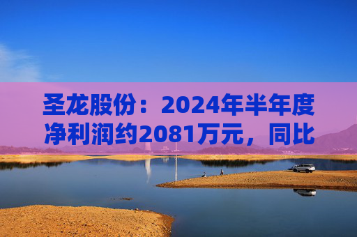 圣龙股份：2024年半年度净利润约2081万元，同比下降23.63%