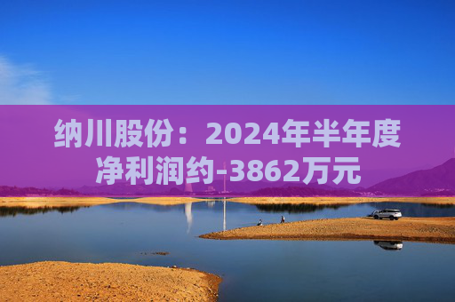 纳川股份：2024年半年度净利润约-3862万元