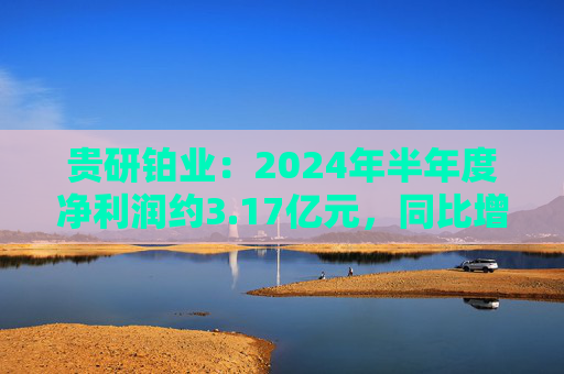 贵研铂业：2024年半年度净利润约3.17亿元，同比增加9.65%