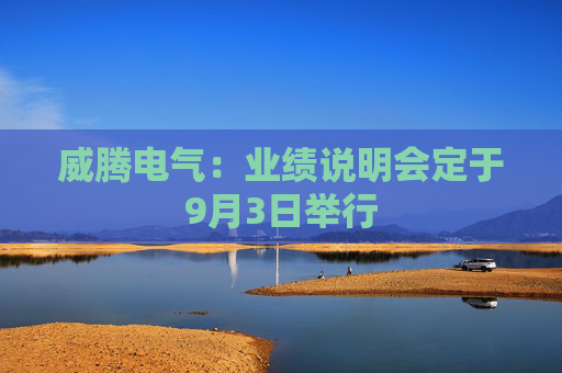 威腾电气：业绩说明会定于9月3日举行