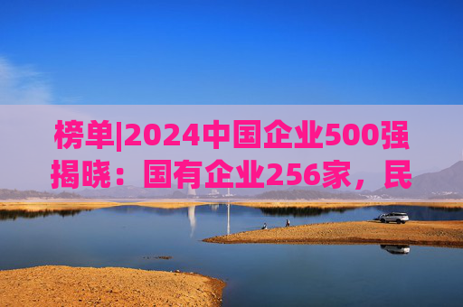 榜单|2024中国企业500强揭晓：国有企业256家，民营企业244家，与上年情况一致