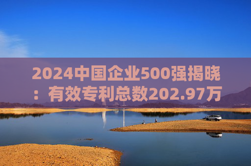 2024中国企业500强揭晓：有效专利总数202.97万件，增长7.66%