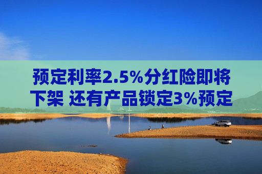 预定利率2.5%分红险即将下架 还有产品锁定3%预定利率？