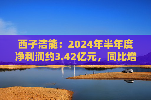 西子洁能：2024年半年度净利润约3.42亿元，同比增加1066.46%